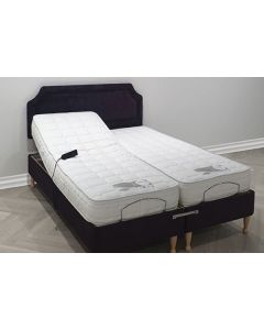 Washington Dual Electric Profiling Bed