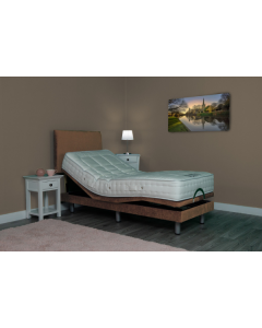 Dublin Electric Profiling Bed 