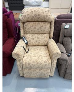 Dual Motor Beige Leaf